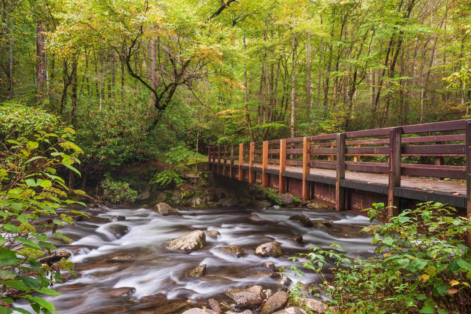 A Higher Calling, 1089 Of Free Area Attraction Tickets For Each Paid Day, Dollywood And More! Пиджен-Фордж Экстерьер фото